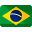 Português (Brasil)